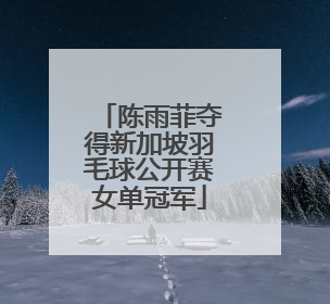 陈雨菲夺得新加坡羽毛球公开赛女单冠军