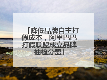 降低品牌自主打假成本，阿里巴巴打假联盟成立品牌抽检分盟