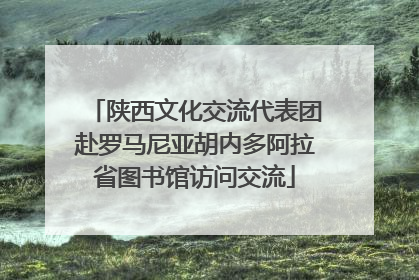 陕西文化交流代表团赴罗马尼亚胡内多阿拉省图书馆访问交流