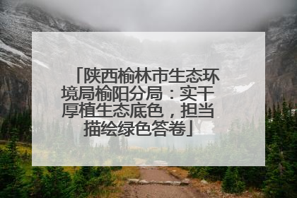陕西榆林市生态环境局榆阳分局：实干厚植生态底色，担当描绘绿色答卷
