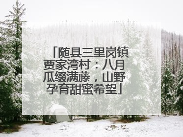 随县三里岗镇贾家湾村：八月瓜缀满藤，山野孕育甜蜜希望