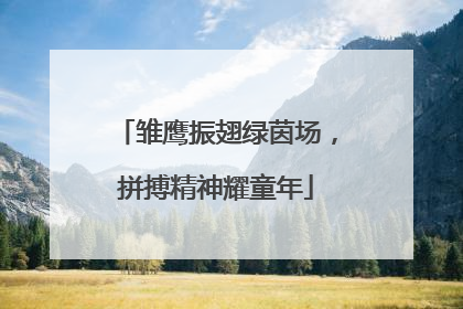雏鹰振翅绿茵场，拼搏精神耀童年