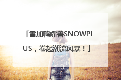 雪加鸭嘴兽SNOWPLUS，卷起潮流风暴！