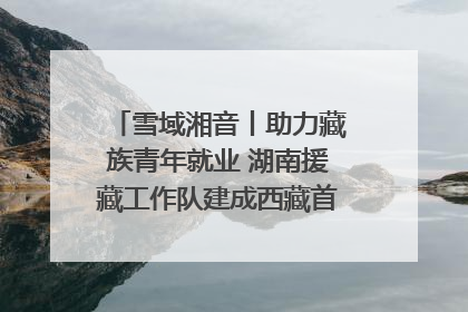 雪域湘音丨助力藏族青年就业 湖南援藏工作队建成西藏首个清洁能源装备园