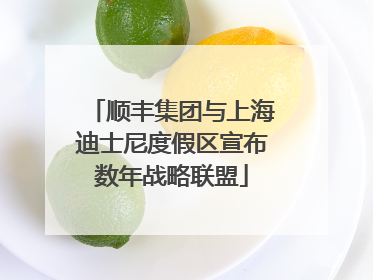 顺丰集团与上海迪士尼度假区宣布数年战略联盟