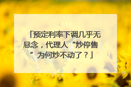 预定利率下调几乎无悬念，代理人“炒停售”为何炒不动了？