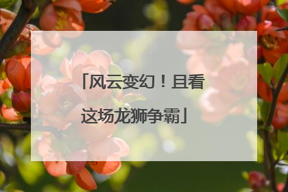 风云变幻！且看这场龙狮争霸