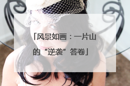 风景如画：一片山的“逆袭”答卷