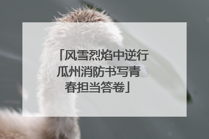 风雪烈焰中逆行 瓜州消防书写青春担当答卷