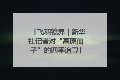 飞羽镜界｜新华社记者对“高原仙子”的四季追寻