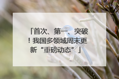 首次、第一、突破！我国多领域周末更新“重磅动态”