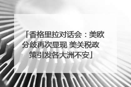 香格里拉对话会：美欧分歧再次显现 美关税政策引发各大洲不安