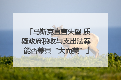 马斯克直言失望 质疑政府税收与支出法案能否兼具“大而美”