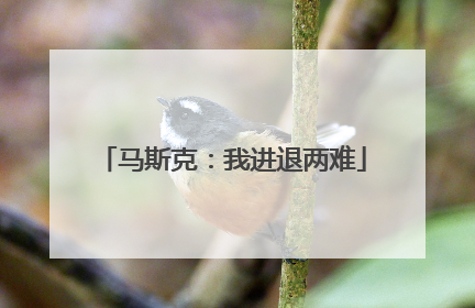 马斯克：我进退两难