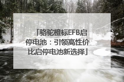 骆驼橙标EFB启停电池：引领高性价比启停电池新选择
