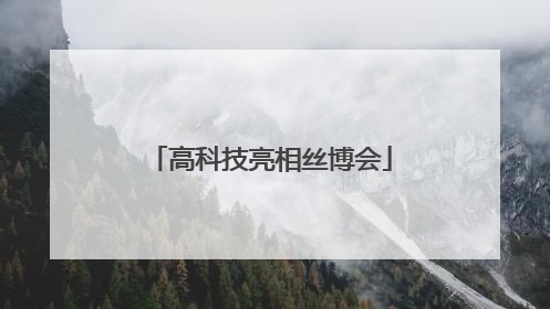 高科技亮相丝博会