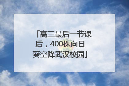 高三最后一节课后，400株向日葵空降武汉校园