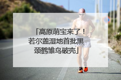 高原萌宝来了！若尔盖湿地首批黑颈鹤雏鸟破壳