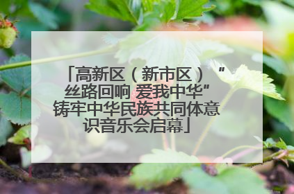 高新区（新市区）“丝路回响 爱我中华”铸牢中华民族共同体意识音乐会启幕