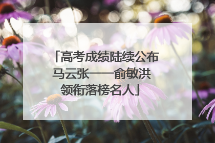 高考成绩陆续公布 马云张一一俞敏洪领衔落榜名人