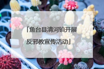 鱼台县清河镇开展反邪教宣传活动