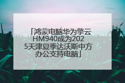 鸿蒙电脑华为擎云 HM940成为2025天津夏季达沃斯中方办公支持电脑