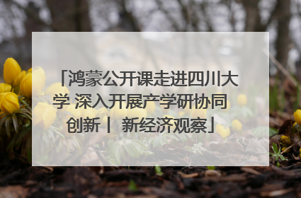 鸿蒙公开课走进四川大学 深入开展产学研协同创新丨 新经济观察