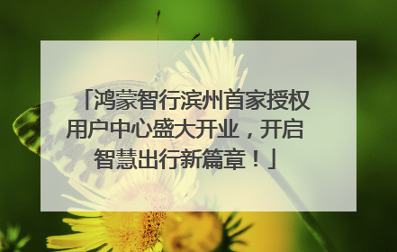 鸿蒙智行滨州首家授权用户中心盛大开业，开启智慧出行新篇章！