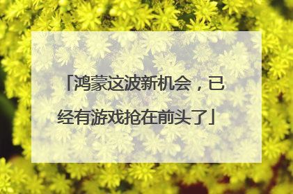 鸿蒙这波新机会，已经有游戏抢在前头了