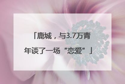 鹿城，与3.7万青年谈了一场“恋爱”