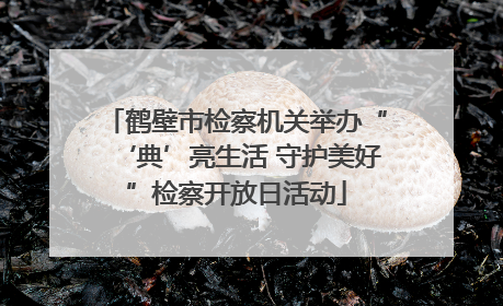 鹤壁市检察机关举办“‘典’亮生活 守护美好”检察开放日活动