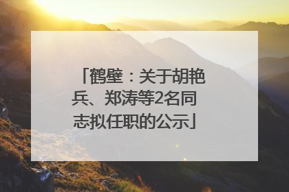 鹤壁：关于胡艳兵、郑涛等2名同志拟任职的公示