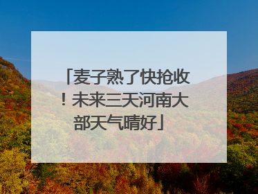 麦子熟了快抢收！未来三天河南大部天气晴好