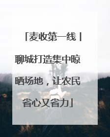 麦收第一线丨聊城打造集中晾晒场地，让农民省心又省力