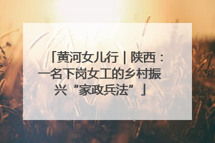 黄河女儿行｜陕西：一名下岗女工的乡村振兴“家政兵法”