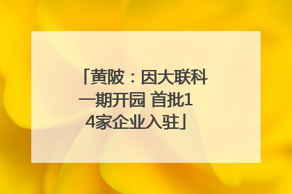 黄陂：因大联科一期开园 首批14家企业入驻