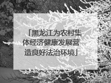 黑龙江为农村集体经济健康发展营造良好法治环境