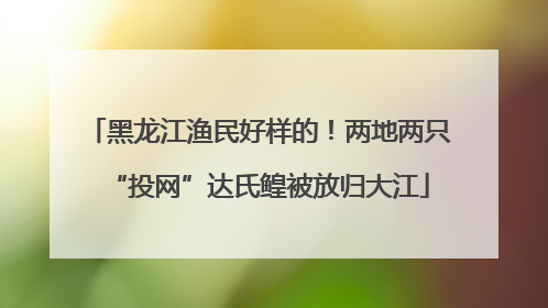 黑龙江渔民好样的！两地两只“投网”达氏鳇被放归大江