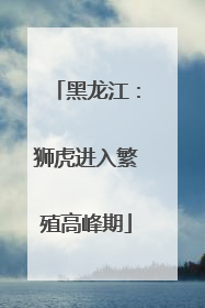 黑龙江：狮虎进入繁殖高峰期