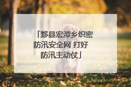 黟县宏潭乡织密防汛安全网 打好防汛主动仗