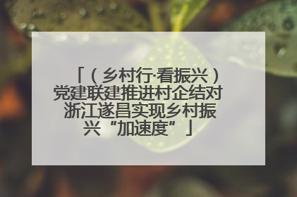（乡村行·看振兴）党建联建推进村企结对 浙江遂昌实现乡村振兴“加速度”