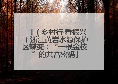 （乡村行·看振兴）浙江黄岩水源保护区蝶变：“一根金枝”的共富密码