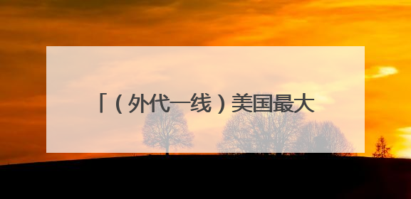 （外代一线）美国最大港口工作岗位减少近半