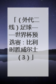 （外代二线）足球——世界杯预选赛：比利时胜威尔士（3）