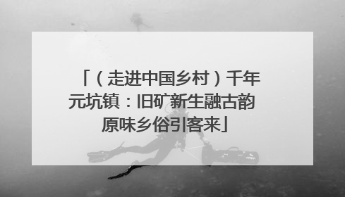 （走进中国乡村）千年元坑镇：旧矿新生融古韵 原味乡俗引客来