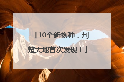 10个新物种，荆楚大地首次发现！
