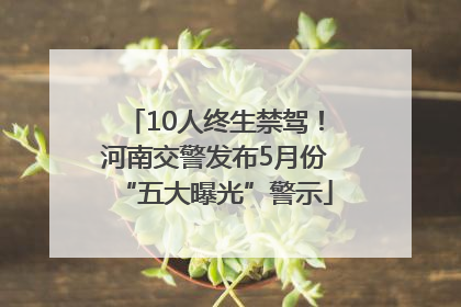 10人终生禁驾！河南交警发布5月份“五大曝光”警示