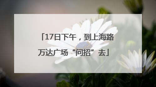 17日下午，到上海路万达广场“问招”去