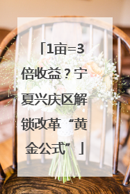 1亩=3倍收益？宁夏兴庆区解锁改革“黄金公式”