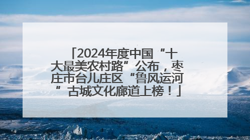 2024年度中国“十大最美农村路”公布，枣庄市台儿庄区“鲁风运河”古城文化廊道上榜！